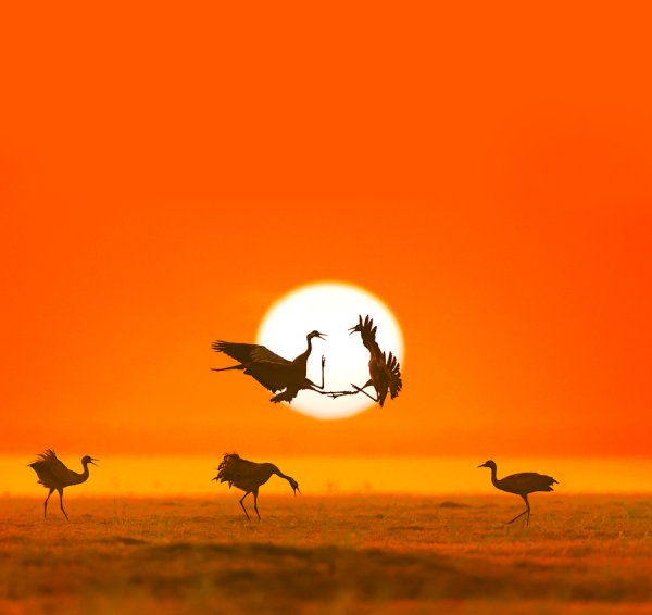 宏盈国际 今日秋分 | 秋分时“平分秋色”，还有美丽的悬日景观